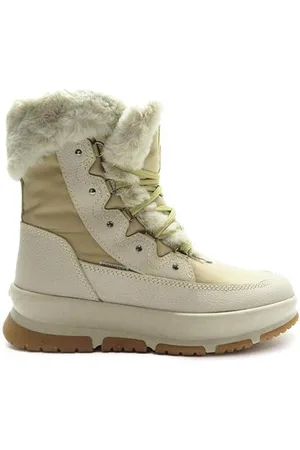 Antarctica 8699