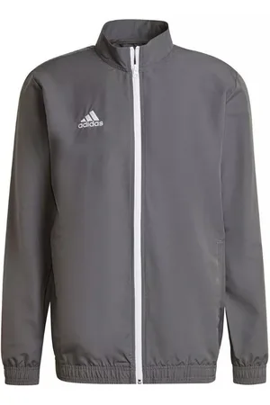 adidas Heren entrada 22 presentatiejas