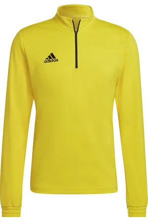 adidas Heren entrada 22 trainings sweatshirt