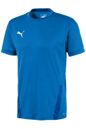PUMA Heren teamgoal 23 jersey