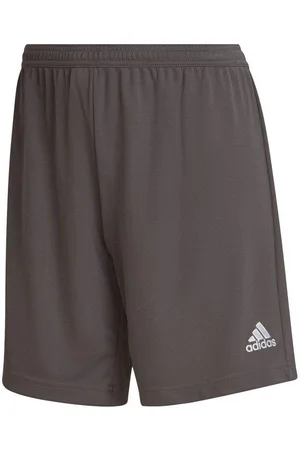 adidas Dames entrada 22 trainingsbroek sweat shorts