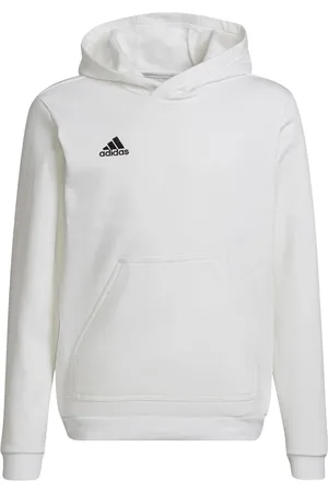 adidas Kinderen/kinderen entrada 22 hoodie