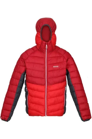 Regatta Heren harrock puffer jacket
