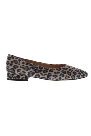 Di lauro Alcan tara ballerina spits | dames | maat: | suede