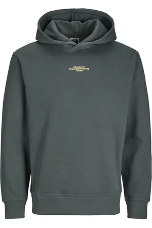 JACK & JONES Jcoalpha mountain print sweat hood oud