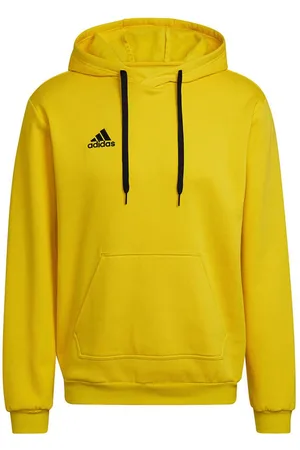 adidas Heren entrada 22 hoodie