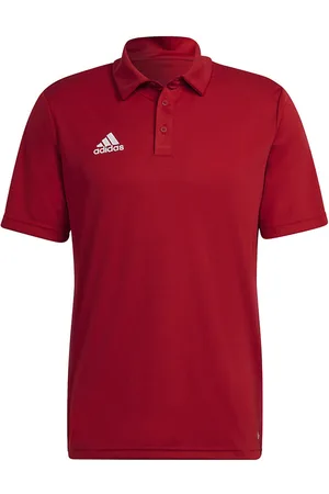 adidas Heren entrada 22 poloshirt