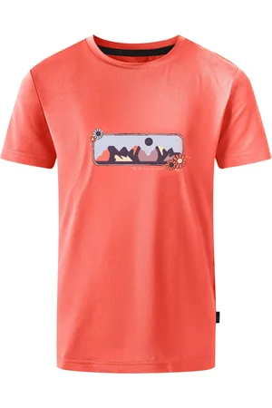 Dare 2B Kinderen/kinderen amuse ii mountain t-shirt
