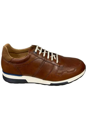 Van Lier 2415510