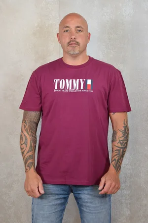 Tommy Hilfiger Reg tommy dna flag tee ext