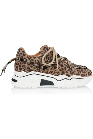 DWRS Jupiter leopard