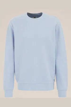 WE Fashion Heren sweater met antibacteriële finish - Regular fit - - Katoen