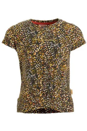 Orange stars T