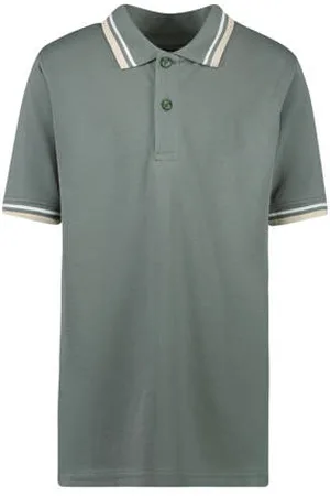 Cars Polo FRYLON