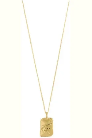Pilgrim Gold plated ketting Waterman sterrenbeeld