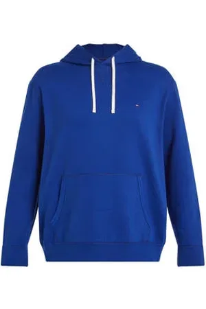 Tommy Hilfiger Hoodie blauw