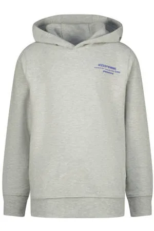 Raizzed Hoodie grijs melange