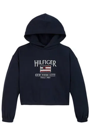 Tommy Hilfiger Sweater blauw