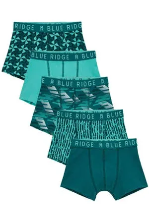WE Fashion Blue Ridge boxershort
