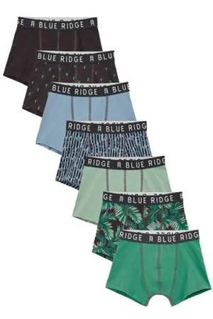WE Fashion Blue Ridge boxershort