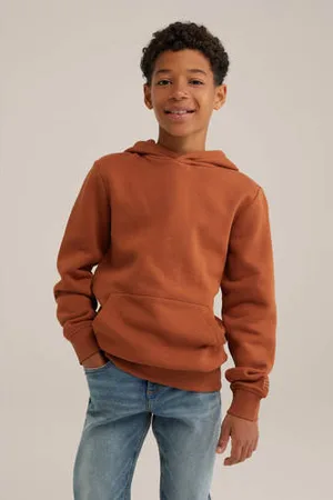 WE Fashion Blue Ridge hoodie bruin