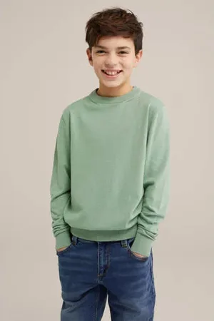 WE Fashion Blue Ridge fijn gebreide trui groen