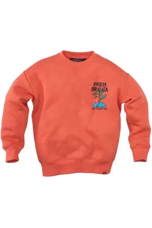 Z8 Kids sweater Tino met backprint