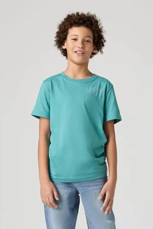 Levi