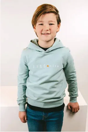 TYGO & vito Hoodie groen