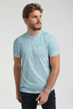 Gabbiano T