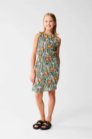 SHOEBY Korte jurk multi