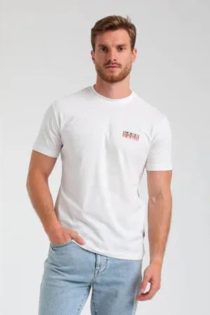 Gabbiano T