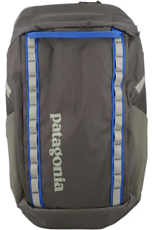 Patagonia Black Hole Pack 32L Basin Green