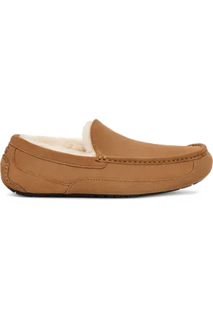 UGG Ascot Chestnut