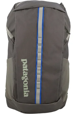 Patagonia Black Hole Pack 25L Basin Green