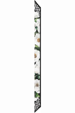 Dolce & Gabbana Scarfs Black