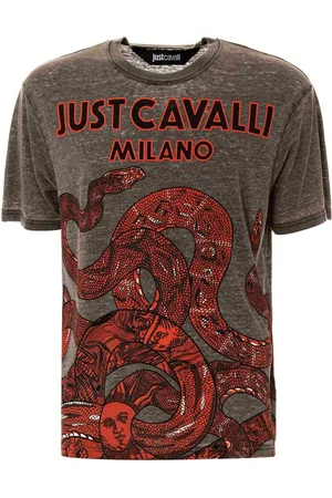 Roberto Cavalli T-shirts and Polos Grey