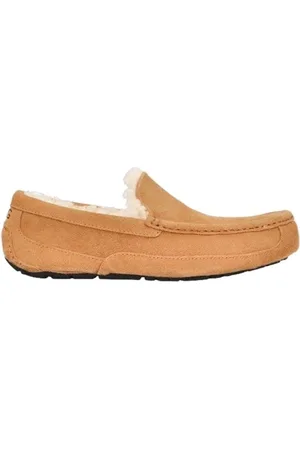 UGG 1101110 CHE ASCOT