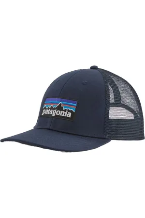 Patagonia P-6 Logo LoPro