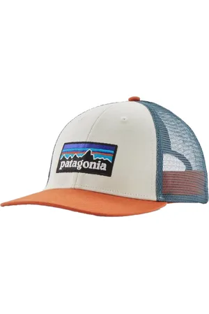 Patagonia P-6 Logo LoPro