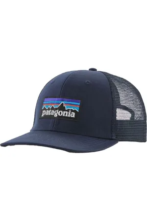 Patagonia P-6 Logo Trucker Pet