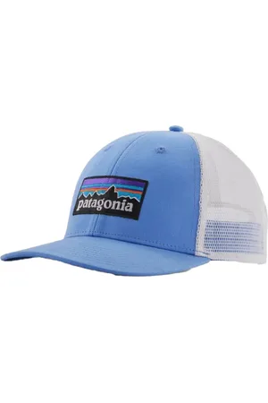 Patagonia P-6 Logo LoPro