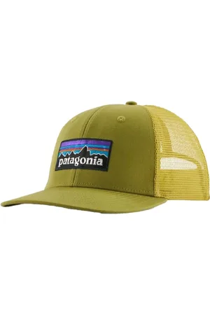 Patagonia P-6 Logo Trucker Pet