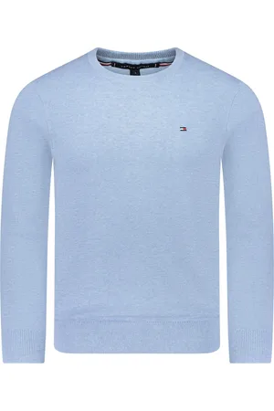 Tommy Hilfiger Sweater Blauw